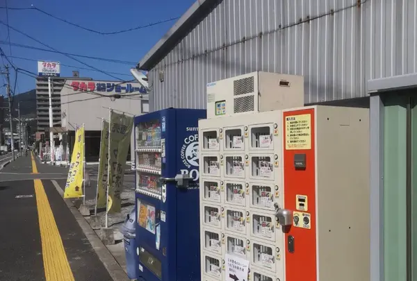 石本農場 たまご直売店 【きいろい庭】の写真・動画_image_739445