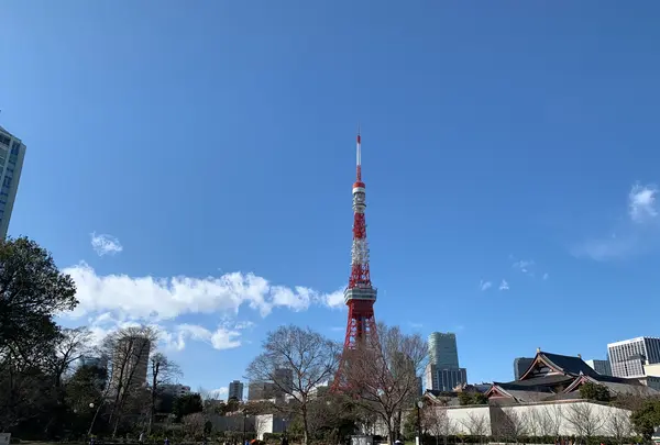 芝公園の写真・動画_image_739713