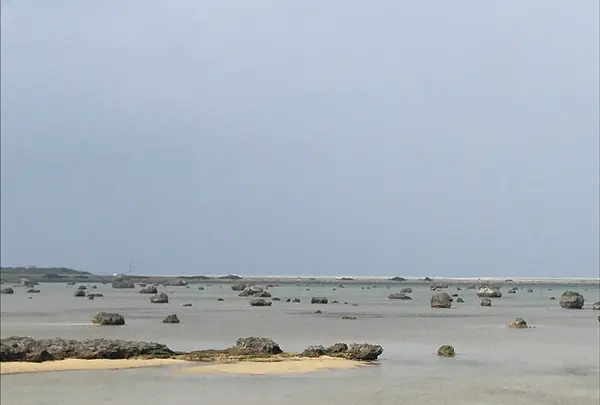 伊良部島の写真・動画_image_739886
