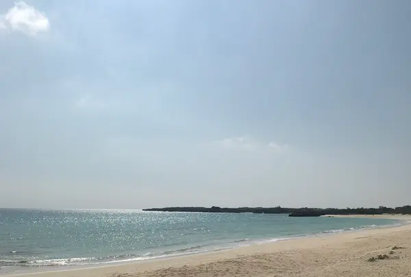 伊良部島の写真・動画_image_739888