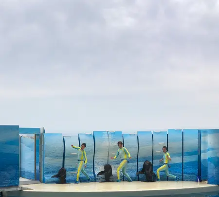 新江ノ島水族館の写真・動画_image_740861