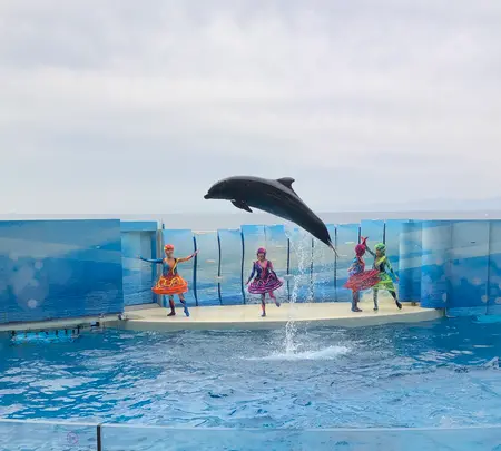 新江ノ島水族館の写真・動画_image_740862