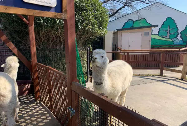 東武動物公園の写真・動画_image_742559