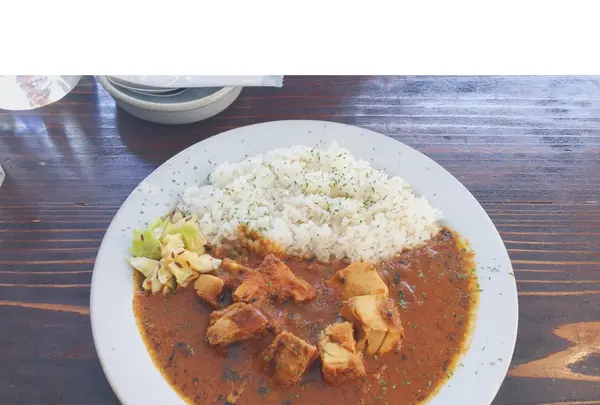 Little cockoo リトルクックーの写真・動画_image_742777