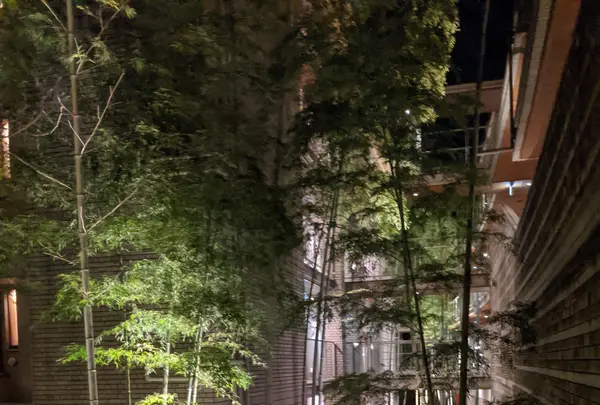 星野リゾート 界 箱根の写真・動画_image_743104