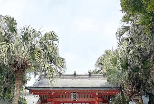 青島神社の写真・動画_image_743143