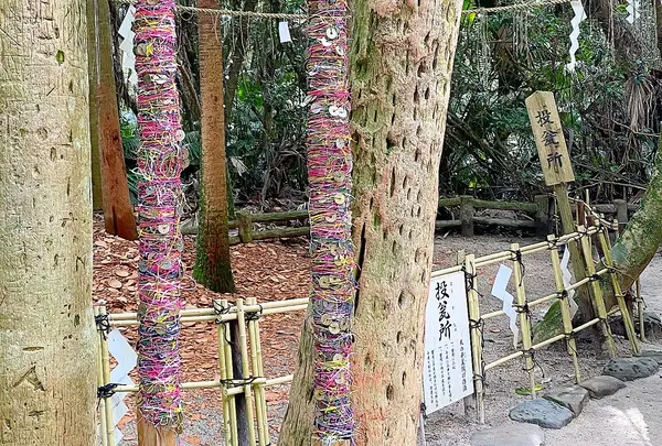 青島神社の写真・動画_image_743144