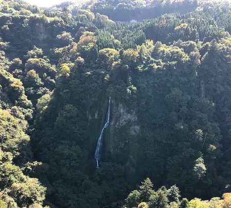 九重”夢”大吊橋 北方ゲートの写真・動画_image_743487