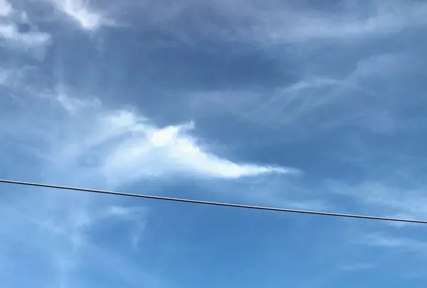 酔ごころの写真・動画_image_743496
