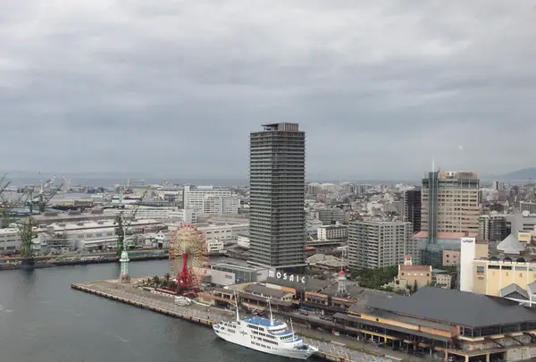 掬星台の写真・動画_image_743497