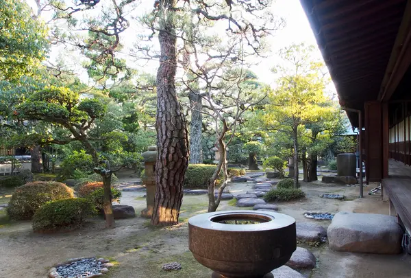 旧森川家住宅の写真・動画_image_743810