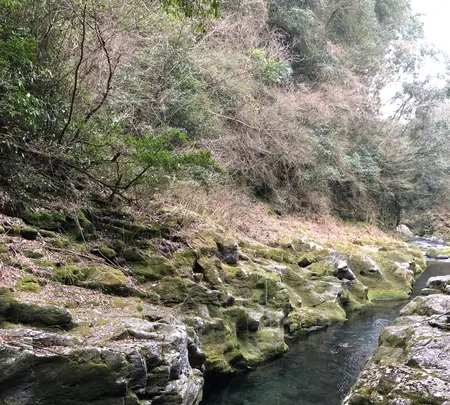 天安河原の写真・動画_image_744725