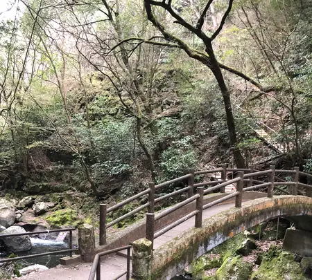 天安河原の写真・動画_image_744727