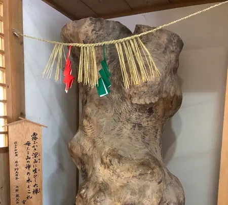 高千穂神社 神楽殿の写真・動画_image_744735