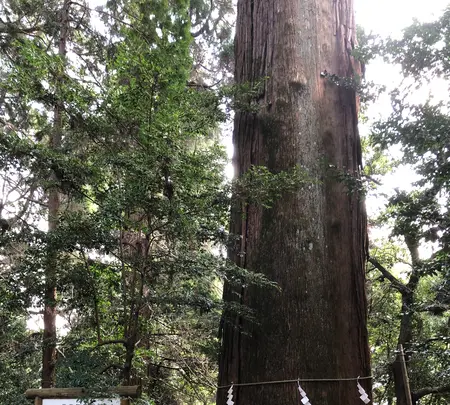 高千穂神社 神楽殿の写真・動画_image_744738