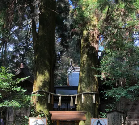 高千穂神社 神楽殿の写真・動画_image_744739