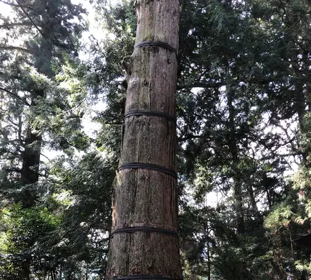 高千穂神社 神楽殿の写真・動画_image_744741