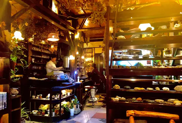 自然館の写真・動画_image_745663