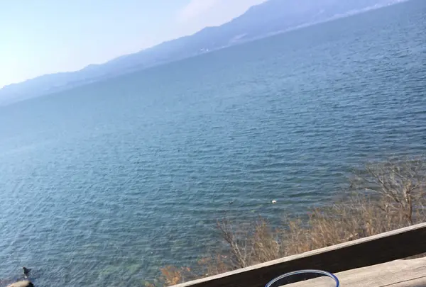 シャーレ水ヶ浜の写真・動画_image_746316