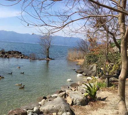 シャーレ水ヶ浜の写真・動画_image_746318