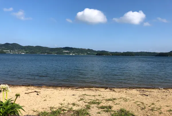 四本堂公園の写真・動画_image_747043