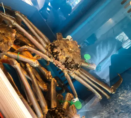 地魚海鮮 地産食堂ひさみの写真・動画_image_747862