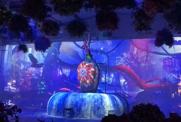 HANA・BIYORI（ハナビヨリ）の写真・動画_image_748489