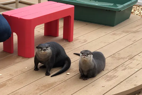 HANA・BIYORI（ハナビヨリ）の写真・動画_image_748490