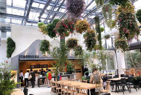 HANA・BIYORI（ハナビヨリ）の写真・動画_image_748493