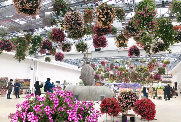 HANA・BIYORI（ハナビヨリ）の写真・動画_image_748494