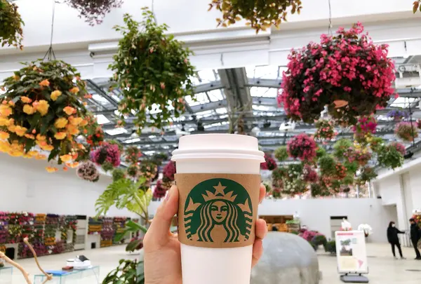 スターバックス よみうりランドHANA・BIYORI店の写真・動画_image_748503