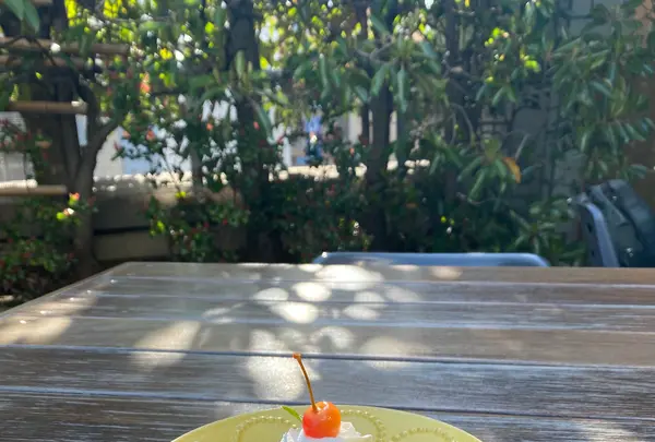 家と庭の写真・動画_image_748876