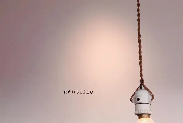gentilleの写真・動画_image_748992