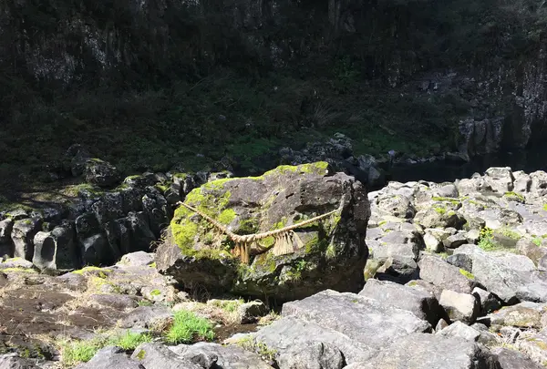 鬼八の力石の写真・動画_image_750351