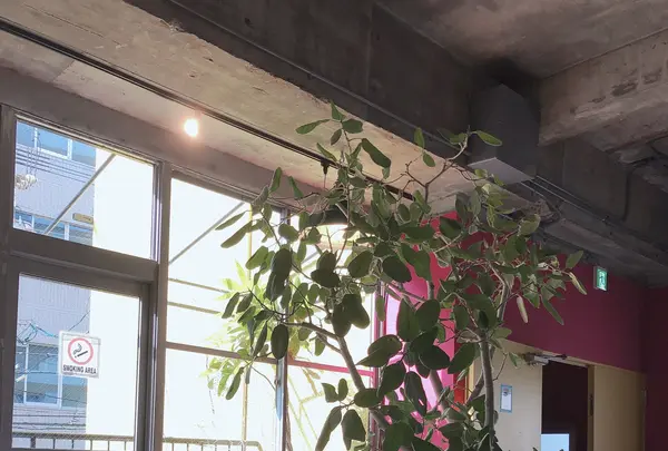 manu coffee roasters クジラ店の写真・動画_image_750484