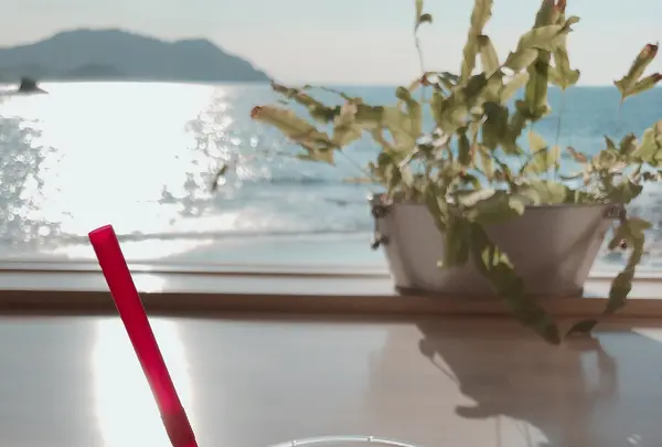 SURF SIDE CAFEの写真・動画_image_750620