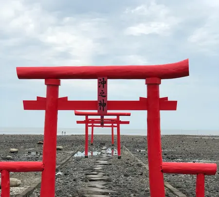 海中鳥居の写真・動画_image_752857