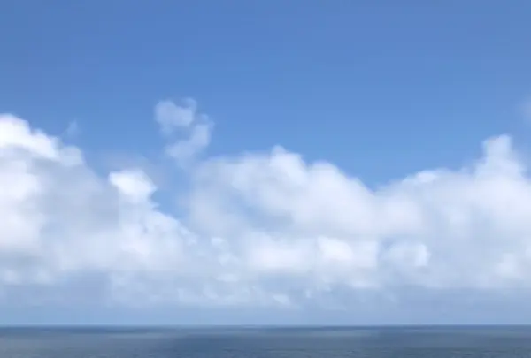 元乃隅神社の写真・動画_image_752884