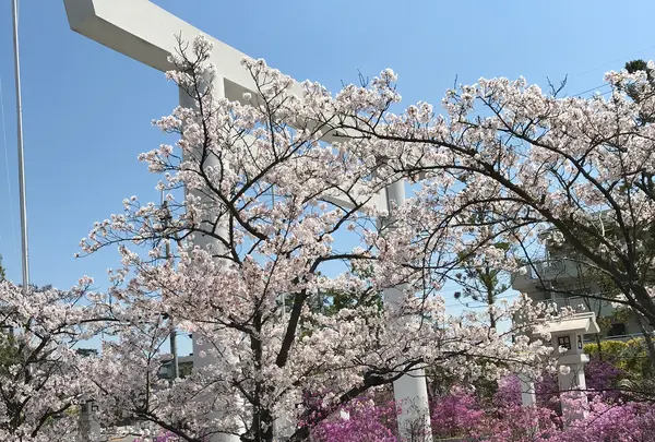 神呪寺（甲山大師）の写真・動画_image_752997
