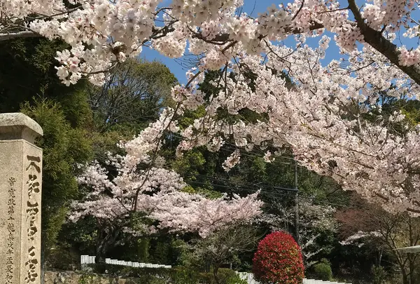 神呪寺（甲山大師）の写真・動画_image_753000
