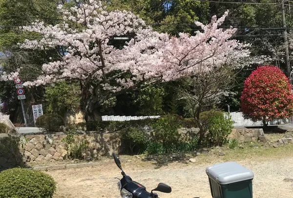 神呪寺（甲山大師）の写真・動画_image_753001