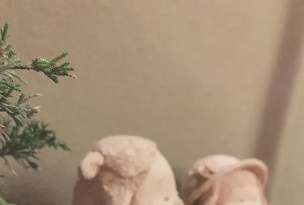 葉らの写真・動画_image_756279