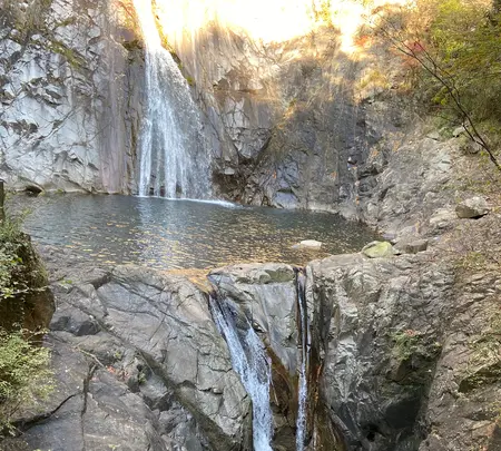 布引の滝の写真・動画_image_757938