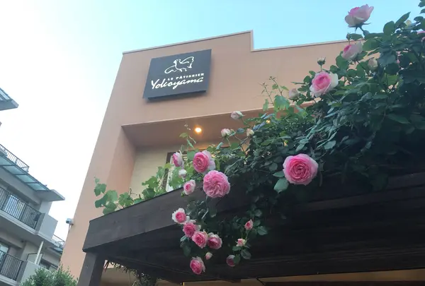 ル・パティシエ・ヨコヤマ 大久保店の写真・動画_image_758342