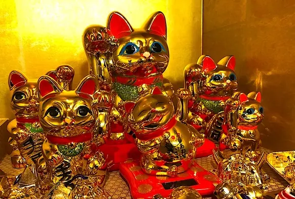 NINJA Cafe&Bar Hidatakayama (忍者カフェ高山)の写真・動画_image_759180