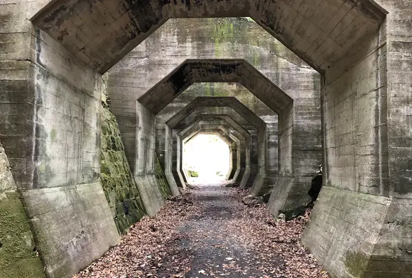 八角トンネルの写真・動画_image_762999