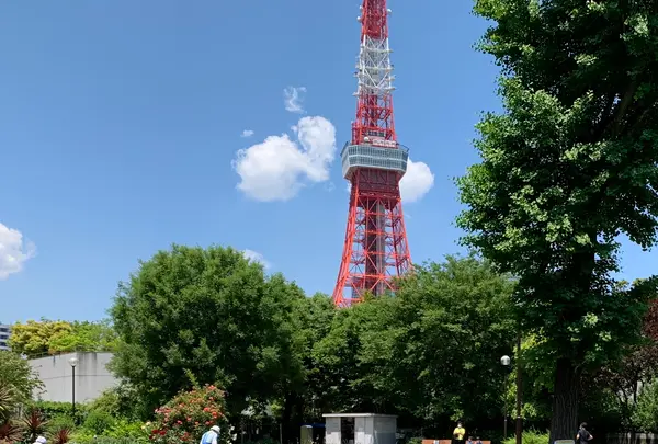 芝公園の写真・動画_image_763022
