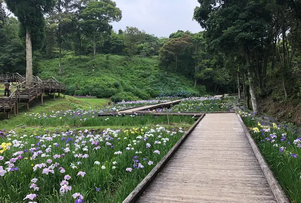 西の久保公園の写真・動画_image_764918