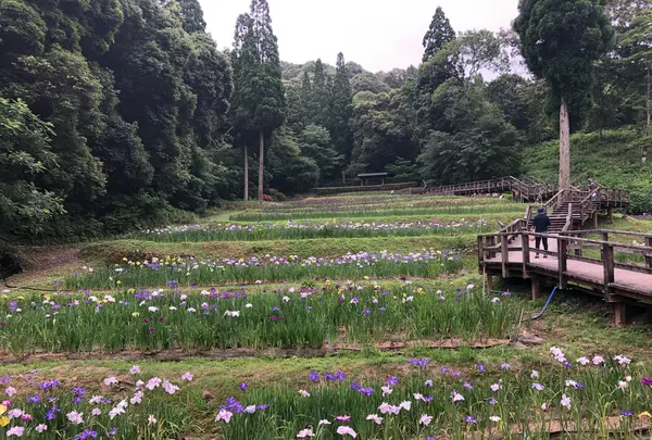 西の久保公園の写真・動画_image_764919
