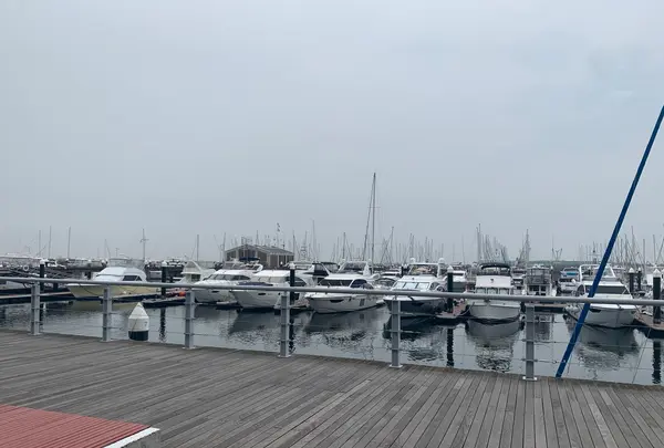 三井アウトレットパーク 横浜ベイサイドの写真・動画_image_765265